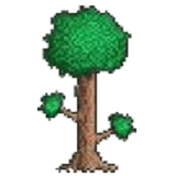 Terraria